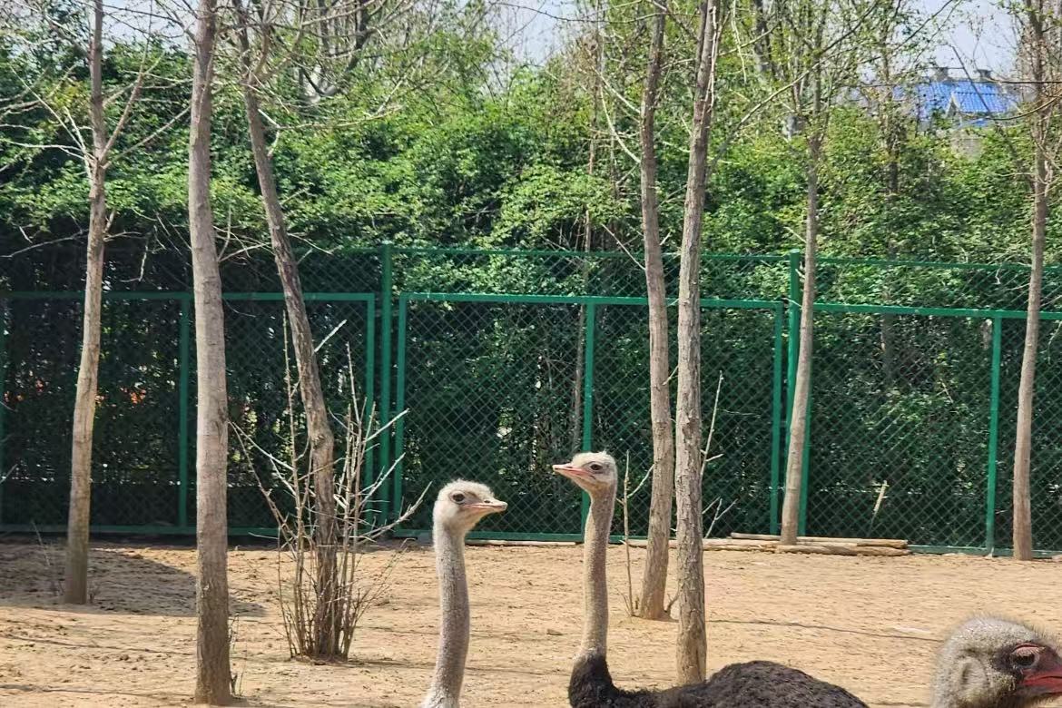 Linyi Zoo and Botanical Garden
